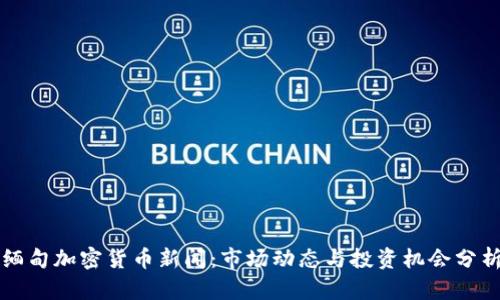 缅甸加密货币新闻：市场动态与投资机会分析