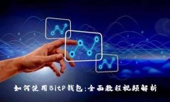 如何使用BitP钱包：全面教程视频解析