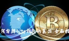 如何分辨Bitp钱包的真伪：全面指南