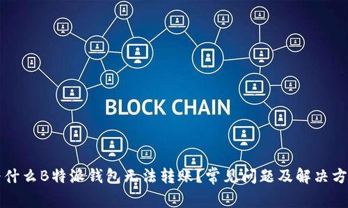 为什么B特派钱包无法转账？常见问题及解决方案