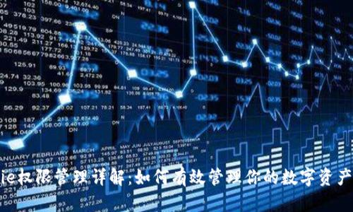 Bitpie权限管理详解：如何有效管理你的数字资产安全