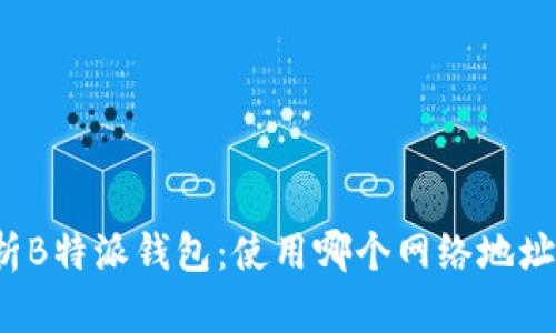 全面解析B特派钱包：使用哪个网络地址更安全？