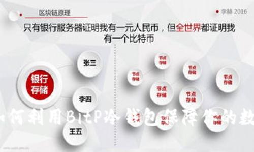 详尽解读：如何利用BitP冷钱包保障你的数字资产安全