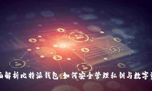 全面解析比特派钱包：如何安全管理私钥与数字资产