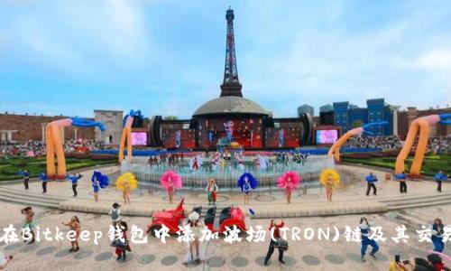 如何在Bitkeep钱包中添加波场(TRON)链及其交易指南