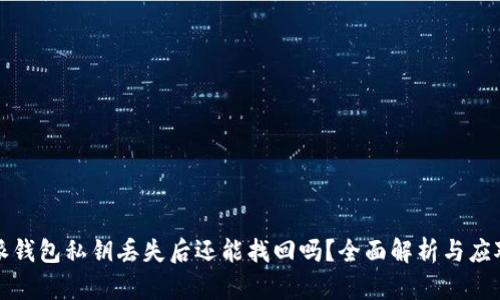 比特派钱包私钥丢失后还能找回吗？全面解析与应对策略