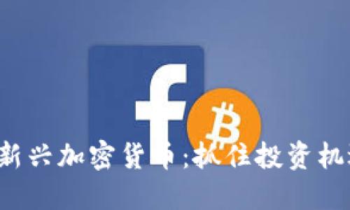 2021年新兴加密货币：抓住投资机遇的风口