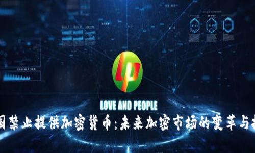 美国禁止提供加密货币：未来加密市场的变革与挑战