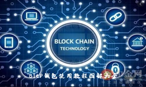 BitP钱包使用教程图解大全