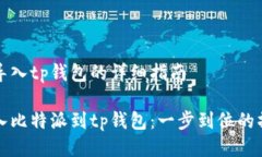 比特派导入tp钱包的详细指南轻松导入比特派到