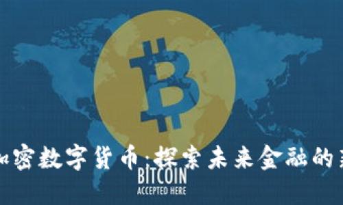 普尔加密数字货币：探索未来金融的新选择