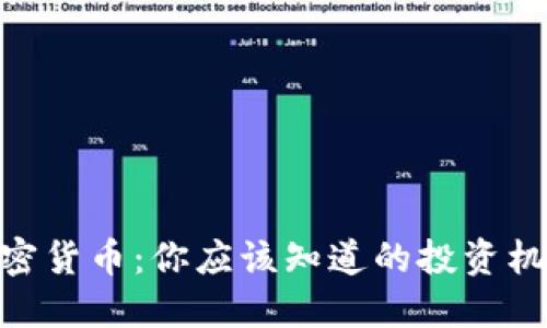: 揭秘加密货币：你应该知道的投资机会与风险