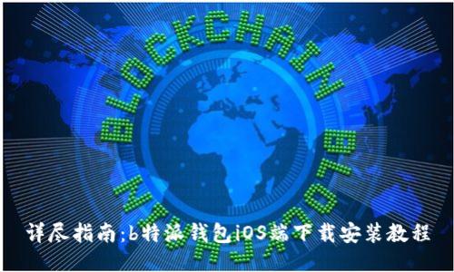 详尽指南：b特派钱包iOS端下载安装教程