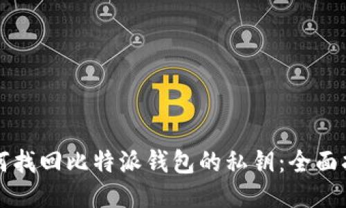 如何找回比特派钱包的私钥：全面指南