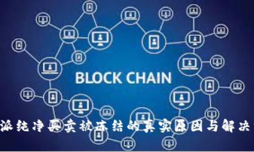 B特派纯净买卖被冻结的真实原因与解决方案