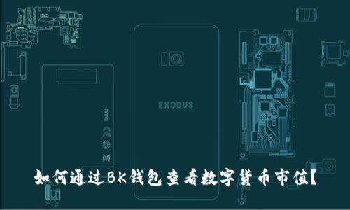 如何通过BK钱包查看数字货币市值？