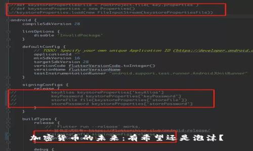 加密货币的未来：有希望还是泡沫？
