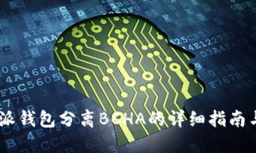 mb特派钱包分离BCHA的详细指南与技巧