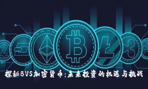 探秘BVS加密货币：未来投资的机遇与挑战