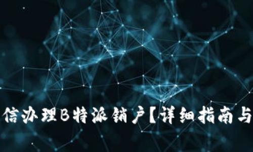 如何在中国电信办理B特派销户？详细指南与常见问题解答