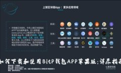 如何下载和使用BitP钱包APP苹果版：详尽指南