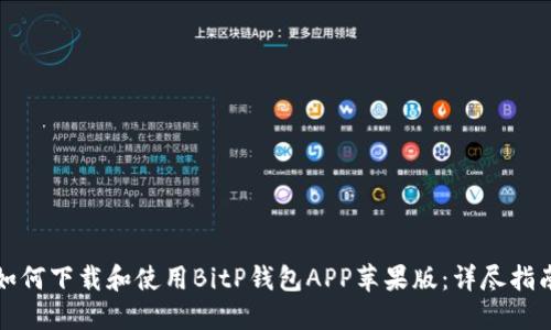 如何下载和使用BitP钱包APP苹果版：详尽指南