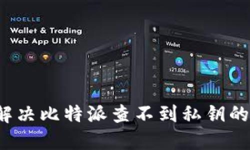 如何解决比特派查不到私钥的问题？