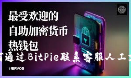 如何通过BitPie联系客服人工支持