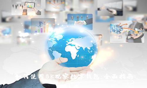 如何使用BK观察数字钱包：全面指南