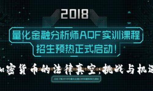 加密货币的法律真空：挑战与机遇