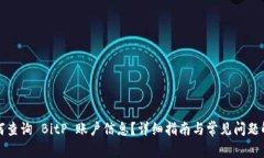 如何查询 BitP 账户信息？详细指南与常见问题解