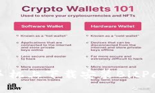 如何在苹果手机上下载安装BitPapp：完整指南