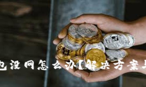 比特派钱包没网怎么办？解决方案与注意事项