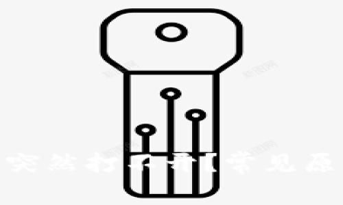 为什么Bitpie钱包突然打不开？常见原因与解决办法详解