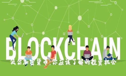 低估加密货币：你应该了解的投资机会