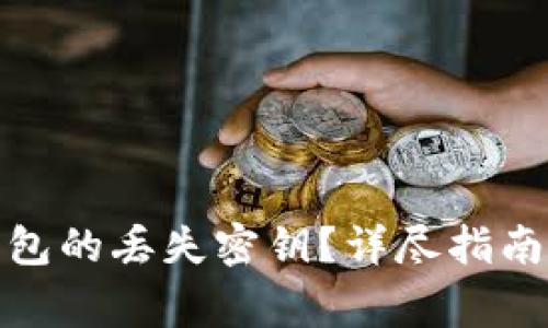 如何找回BitP钱包的丢失密钥？详尽指南与常见问题解答