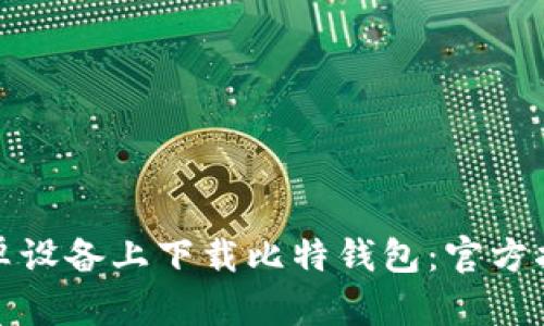 如何在安卓设备上下载比特钱包：官方指南与建议