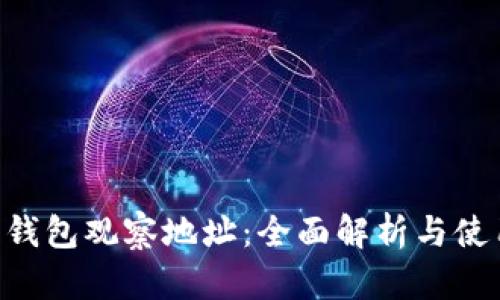 B特派钱包观察地址：全面解析与使用指南