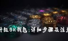 如何升级BK钱包：详细步骤及注意事项