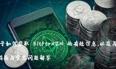 在这篇文章中，我们将探讨关于如何获取 BitPtr