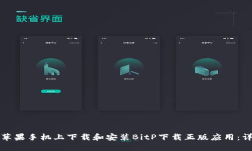 如何在苹果手机上下载和安装BitP下载正版应用：详尽指南