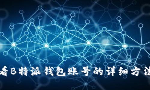 如何查看B特派钱包账号的详细方法与技巧