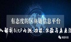 深入解析BitP内测：功能、体验与未来潜力