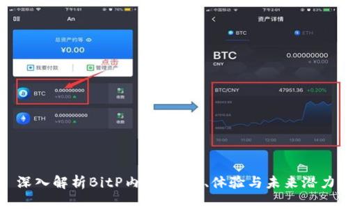 深入解析BitP内测：功能、体验与未来潜力
