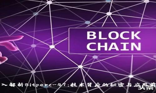 深入解析Bitperc-47：技术背后的秘密与应用前景