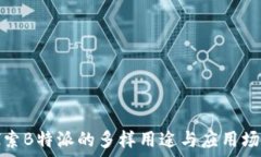   探索B特派的多样用途与应用场景