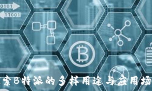   
探索B特派的多样用途与应用场景