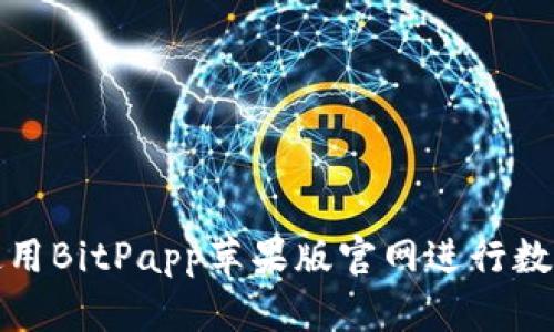 如何有效使用BitPapp苹果版官网进行数字货币投资