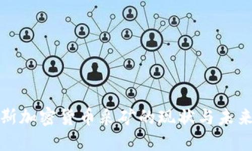 俄罗斯加密货币采矿的现状与未来发展