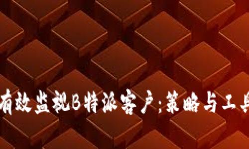 如何有效监视B特派客户：策略与工具解析
